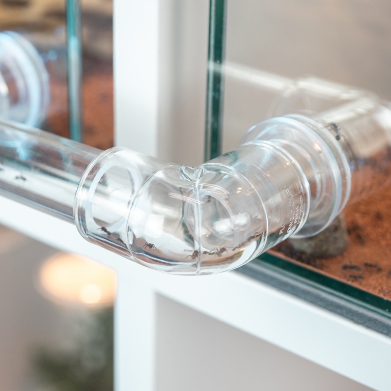 Rohrverbinder glasklar für 32mm - L